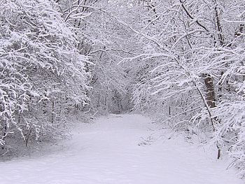 Landscape, Winter, Trees, Roads, Snow HD wallpaper