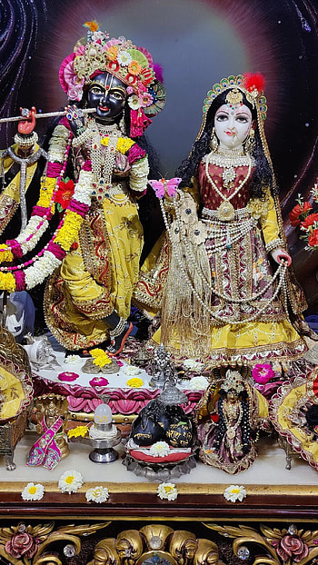 Hare krishna, magenta, art HD phone wallpaper