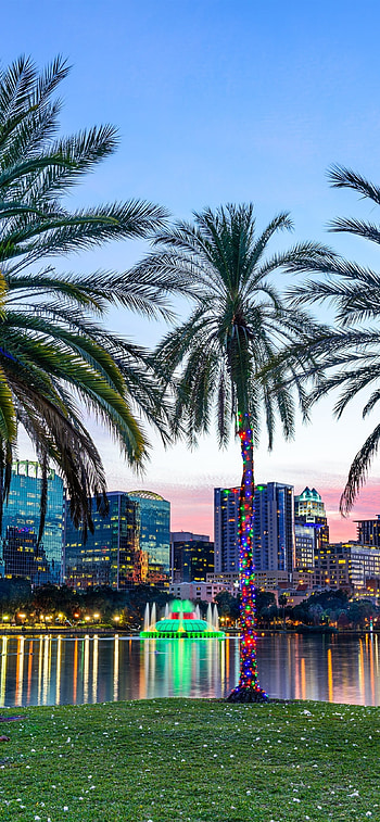 Orlando travels, , Lake Eola Park, Orlando palm trees HD phone wallpaper