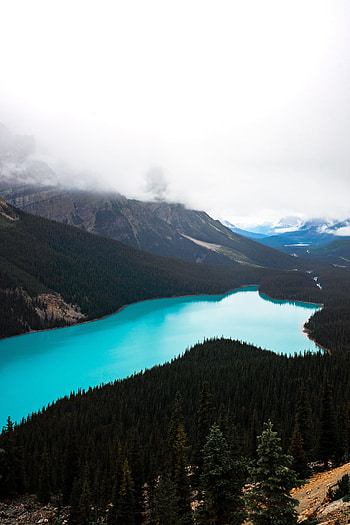 Landscape, Nature, Mountains, View From Above, Lake, Forest HD phone wallpaper