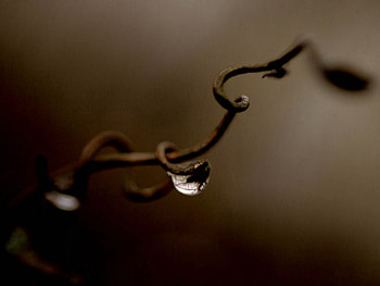 Macro, Moisture, Drop, Wire, Rust HD wallpaper