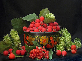 Fresh from the Garden, still life, graphy, delicious, tomatoes, bowl, small, herbs HD wallpaper