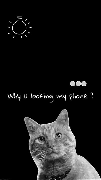 Y u looking my ?, love, Christmas, black, bnw, Aesthetic, Anime, White, and, Naruto, cat, skull HD phone wallpaper