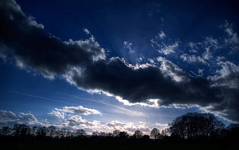 Nature, Trees, Sky, Sun, Clouds, Shadow HD wallpaper