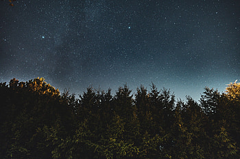Nature, Trees, Sky, Night, Starry Sky, Ate HD wallpaper