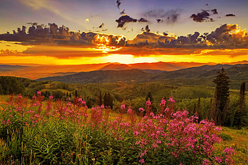 Sunset over Colorado, summer, wildflowers, sky, beautiful, sunset, fiery, Colorado HD wallpaper