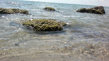 Most of the shadows of this life are caused by our standing in our own sunshine, water, beauty, clean, beach HD wallpaper
