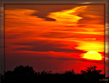 Evening Fire, red sunset, fire, evening HD wallpaper
