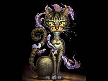 fishy kitty, kitty, fishy HD wallpaper