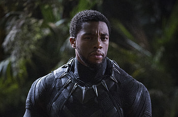 Chadwick Boseman Black Panther 2018, chadwick-boseman, black-panther, 2018-movies, movies HD wallpaper