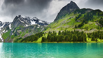 Lake, nature, water, tree HD wallpaper