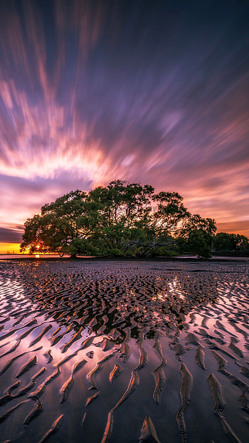 Mesmerizing sunrises, Dawn's radiance, Serene tranquility, Golden hues HD phone wallpaper