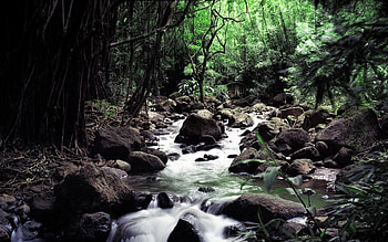 Landscape, Nature HD wallpaper