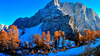 Slovenia Snow Mountain, trees, Nature, Snow, Mountain HD wallpaper