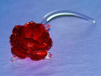 Glass red rose, glass, roses HD wallpaper