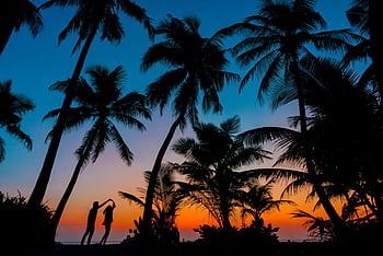 Silhouetted couple dancing under palm trees at tropical beach sunset, capturing romance and idyllic scenery. HD wallpaper