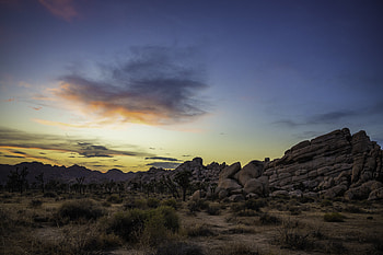 Nature, Trees, Sunset, Bush, Rocks, Prairie HD wallpaper