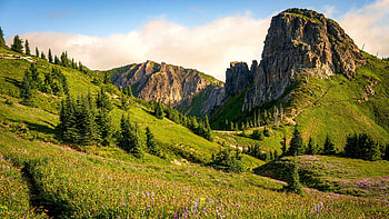 A morning in the Washington Cascades, clouds, trees, USA, sky, meadow, rocks HD wallpaper