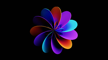Abstract Flower Of Light, abstract, flower, light, artwork, art, digital-art, black, artist HD wallpaper