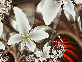 Flower, flowers, abstract HD wallpaper