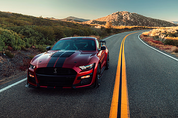 2020 Ford Mustang Shelby GT500 , ford-mustang, shelby, ford, 2019-cars, cars HD wallpaper