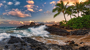 Crashing Waves, sea, cove, rocks, Firefox Persona theme, sunrise, beach, waves, sky, palm trees, sunset HD wallpaper