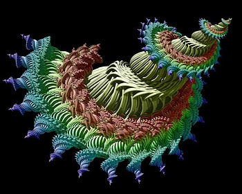 pin eal, cone, fractal, pineal, pine HD wallpaper