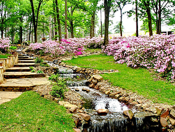 Spring Garden Landscaping-Time for Relax, birds, graphy, sounds, spring, lovely flower, trees, water, places, path, colors of nature, landscape, garden, paradise, waterfalls, grass, rocks, park, nature in its best, nature, sky, pink flowers, flowers, splendor HD wallpaper