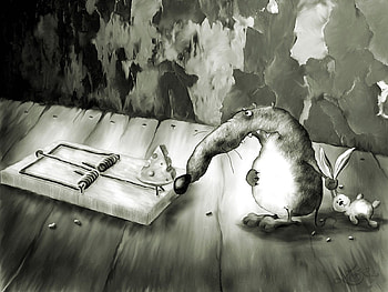 rat trap, rat, trap, mouse, nose HD wallpaper