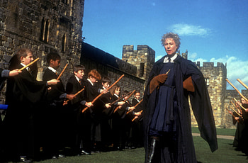 Madame Hooch, Movies, Quidditch, Sporting potential HD wallpaper