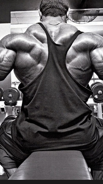 Bodybuilding inspiration, Workout motivation, Muscular physique, Fitness routine HD phone wallpaper