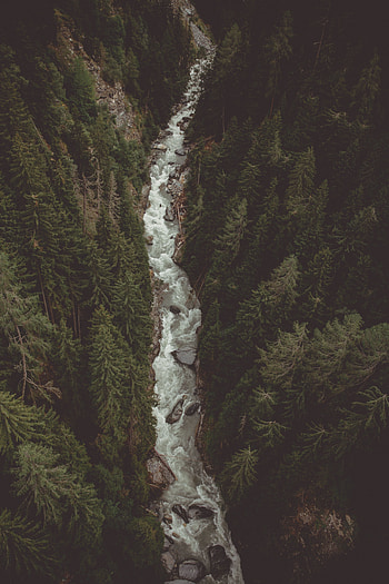 River, water stream, forest, nature, aerial view HD phone wallpaper