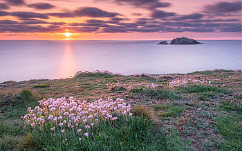 Coast of Spain, sea, coast, clouds, flowers, Spain HD wallpaper