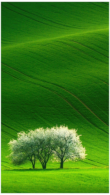 High Resolution Ultra Minimal Mobile HD phone wallpaper