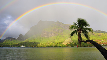 Rainbows over island, other, sky, nature, entertainment HD wallpaper