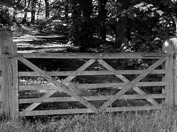 The Gate, nature, countryside HD wallpaper