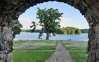 Gate to Lake, oak, gate, path, lake, Latvia HD wallpaper