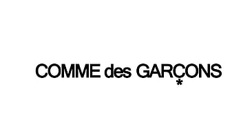 Comme des Garcons , Sarah Peltier's post, Creative design, Artistic expression HD wallpaper