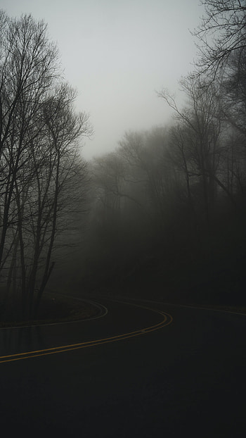Nature, Twilight, Road, Turn, Fog, Dusk, Haze HD phone wallpaper