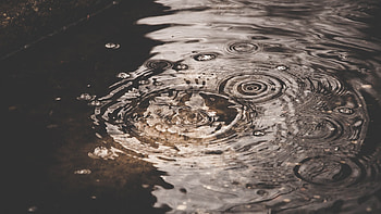Water Drops, Puddle, Water, nature, Drops HD wallpaper
