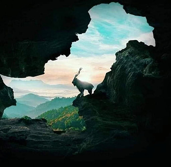 Pakistan Map with National Animal Markhor. Amazing Creativity HD wallpaper