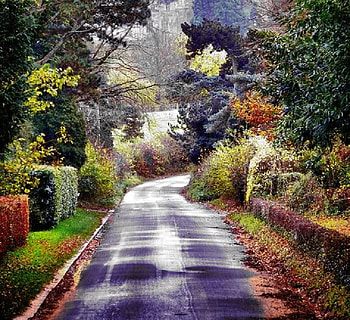 Road to the Castle, trees, autumn, hedges, road HD wallpaper