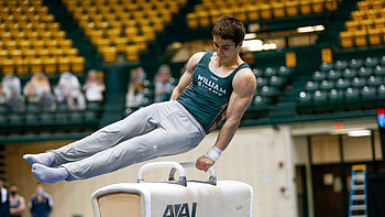 Andrew Lyubovsky, Pommel Horse (Gymnastics) HD wallpaper