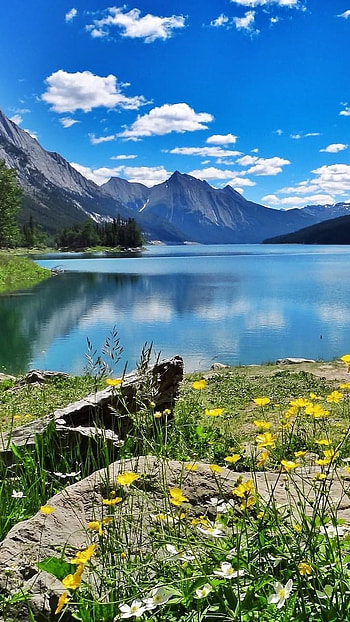 Beautiful Nature, Adorable Aesthetic HD phone wallpaper