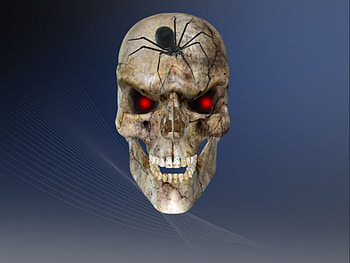 The Possession, halloween, skull, spider, fantasy HD wallpaper