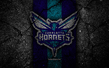 Charlotte Hornets, basketball, logo, nba HD wallpaper
