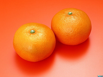 Fruits, Food, Tangerines, Still Life HD wallpaper
