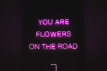 Bright pink neon sign displaying 'You Are Flowers on the Road' on a black background. HD wallpaper