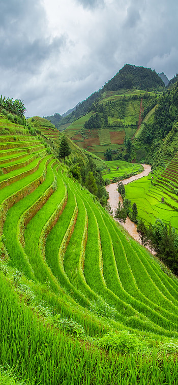 Vietnam Landscape, greenery, landscape, man made HD phone wallpaper