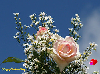 Father's Day Roses, holiday, nature, roses HD wallpaper